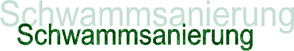 Schwammsanierung