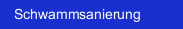 Schwammsanierung